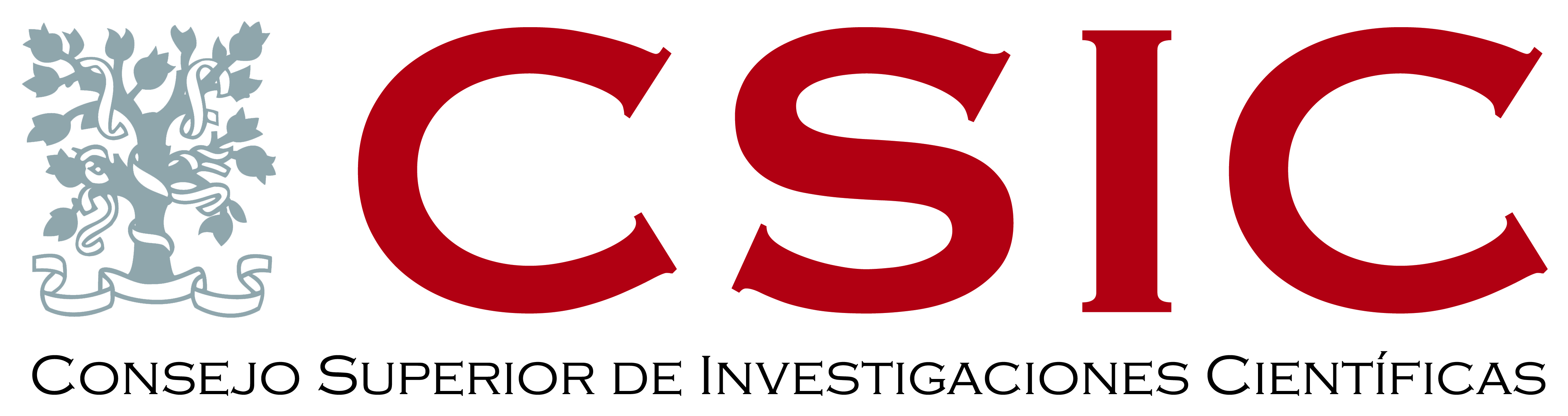 CSIC Logo