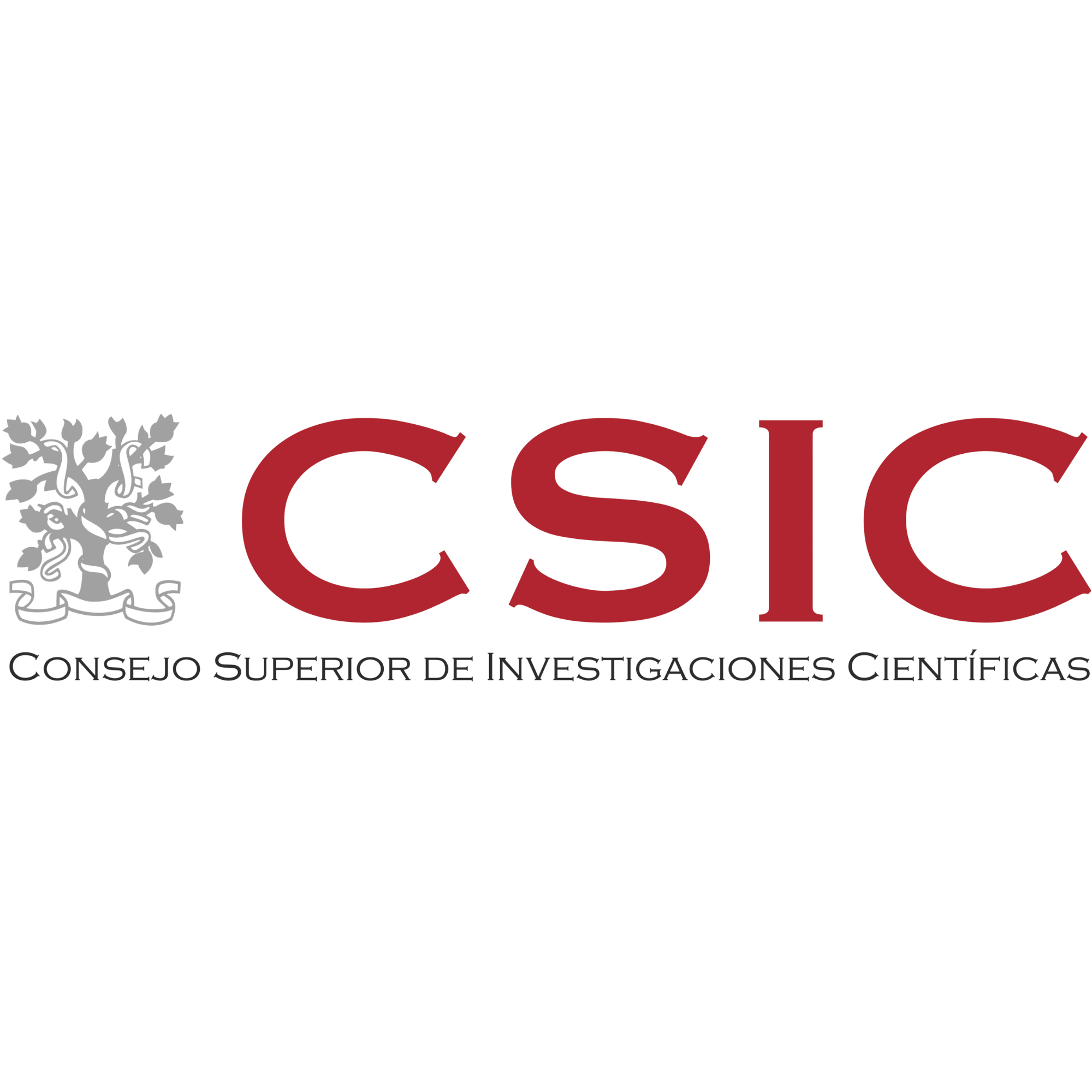 CSIC Logo